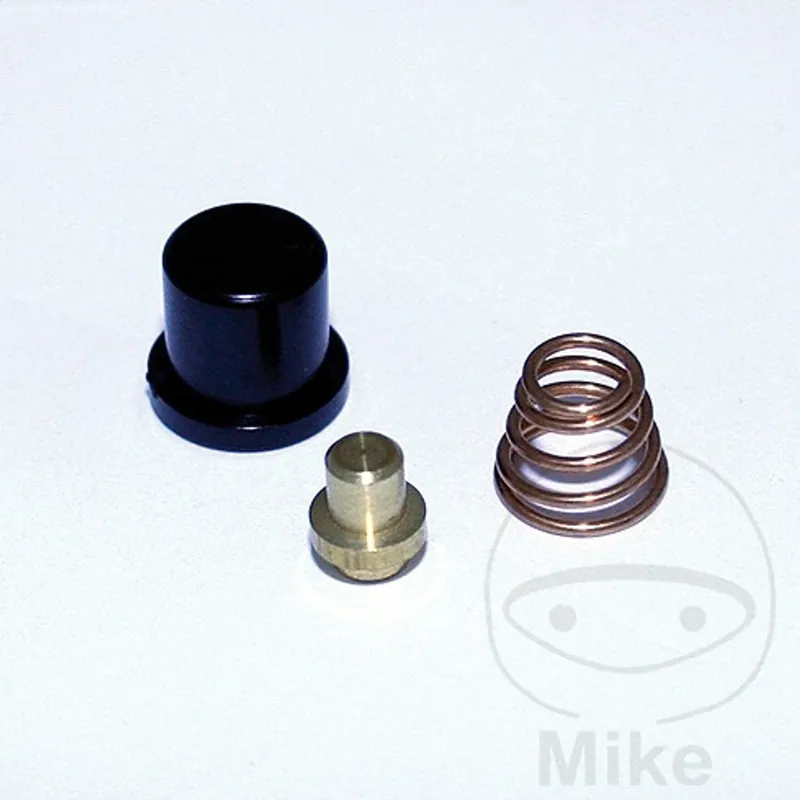 Zlevněný Horn / Starter button JMP