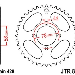 Akce Řetězová rozeta JT JTR 810-42 42 zubů, 428