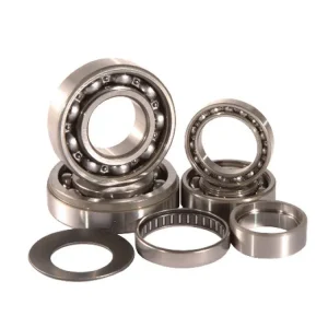 Vysoce Kvalitní Sada ložisek převodovky HOT RODS TBK0061